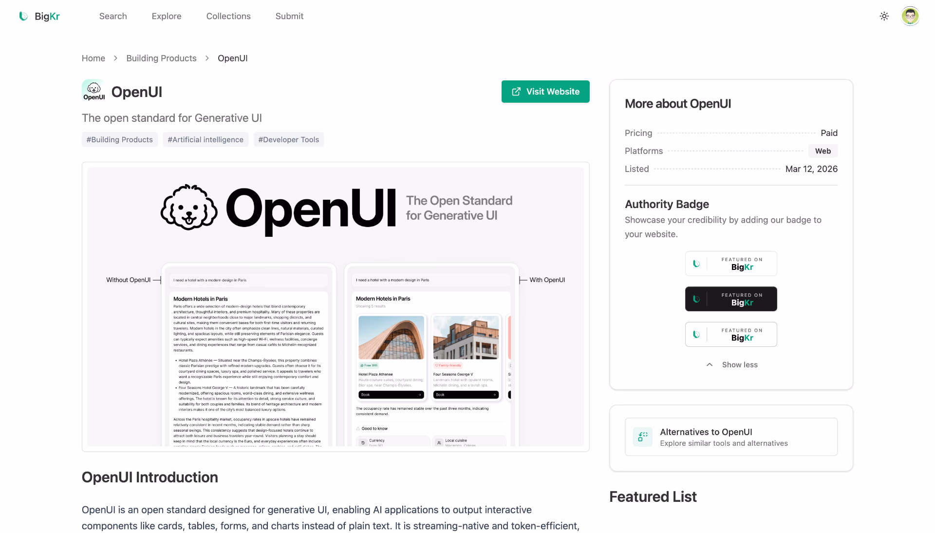 BigKr - Find useful AI tools, SaaS, and product picks preview